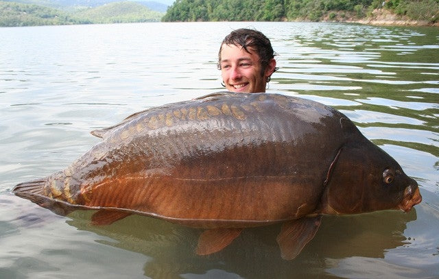 Laden Sie das Bild in Galerie -Viewer, Ib Carptrack Banana Boilie
