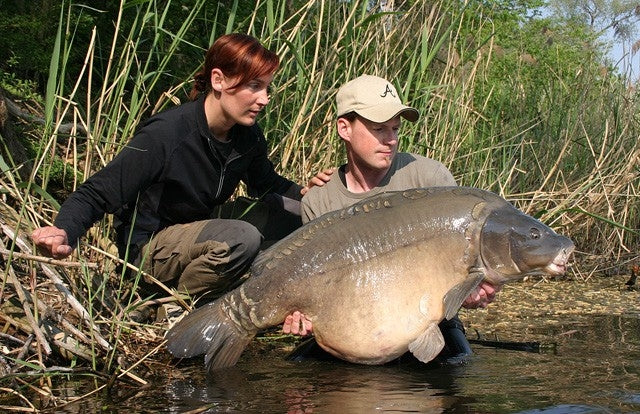 Chargez l'image dans la visionneuse de la galerie, Bouillette Ib Carptrack Big Fish
