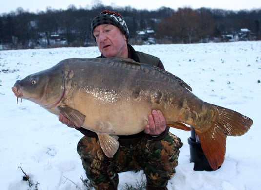 Ib Carptrack Monsters Paradise Boilie Acque Fredde (Cold Water)