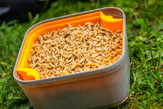 Guru Maggot Riddle - Setaccio per Esche Vive 3mm