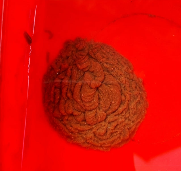 Laden Sie das Bild in Galerie -Viewer, Marukyu Omono Ni Koreda
