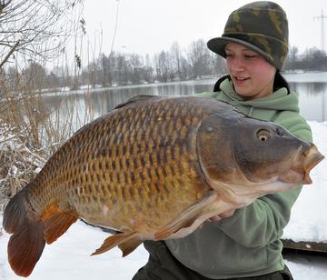 Laden Sie das Bild in Galerie -Viewer, Ib Carptrack Monsters Paradise Mix Acque Fredde (Cold Water)

