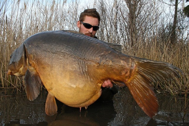 Chargez l'image dans la visionneuse de la galerie, Bouillette Ib Carptrack Big Fish
