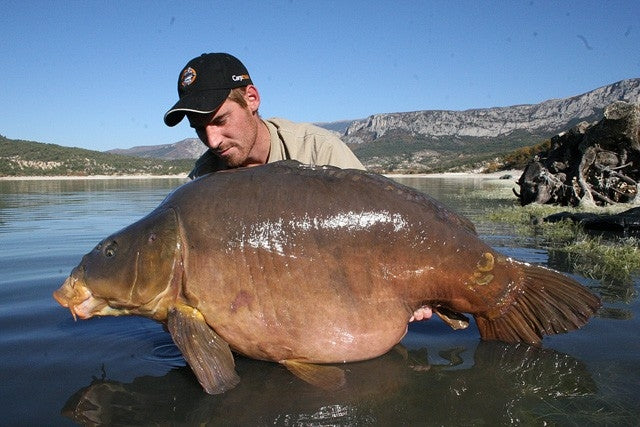 Laden Sie das Bild in Galerie -Viewer, Ib Carptrack Monster/Liver Boilie
