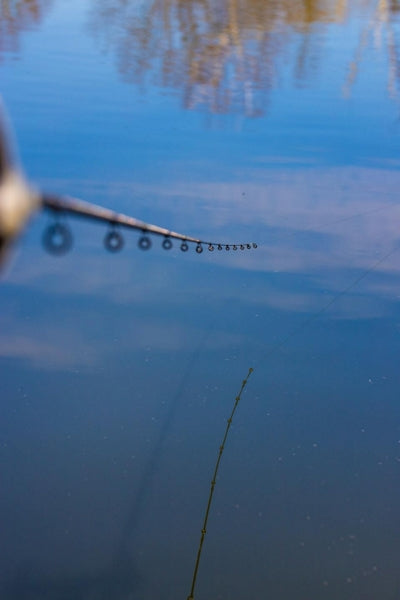 Guru 10' Feeder Rod & Reel Combo