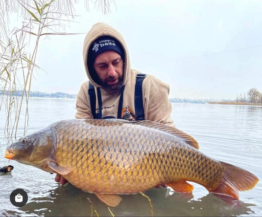 Sweat à capuche Imperial Baits "The Art of Bait" - Vêtements de pêche à la carpe