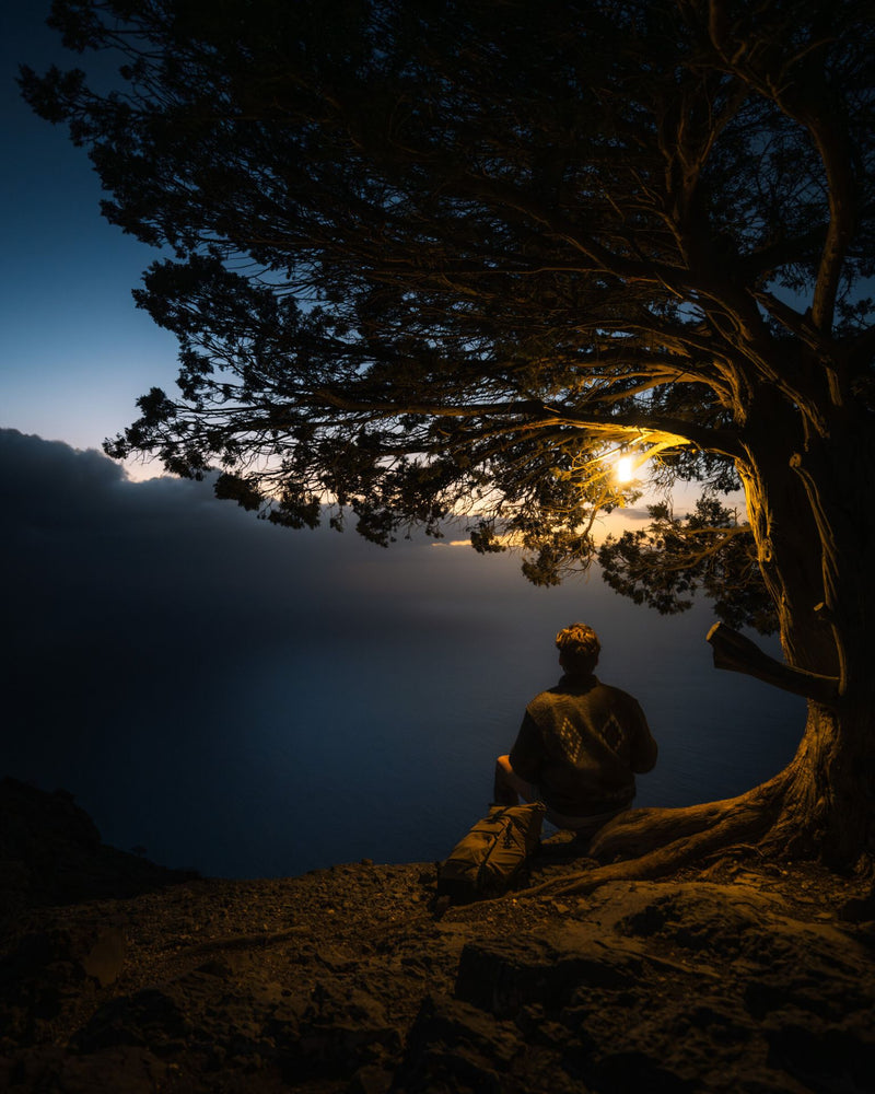 Carica immagine in Galleria Viewer, Led Lenser ML6 Warm Light
