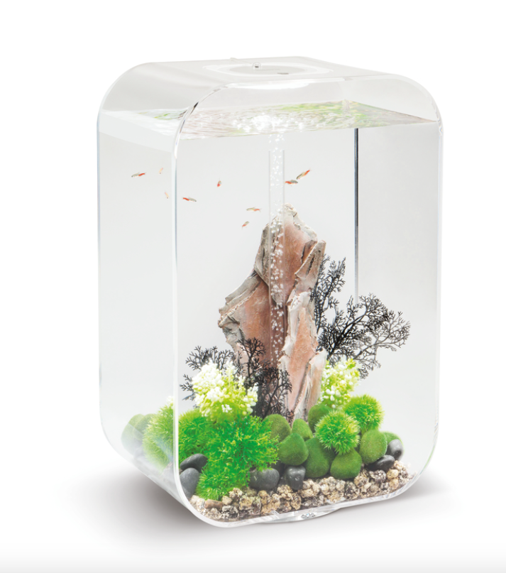 Carica immagine in Galleria Viewer, biOrb LIFE 60 MCR trasparente
