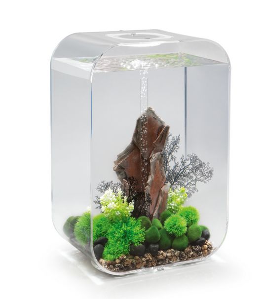 biOrb LIFE 60 MCR trasparente