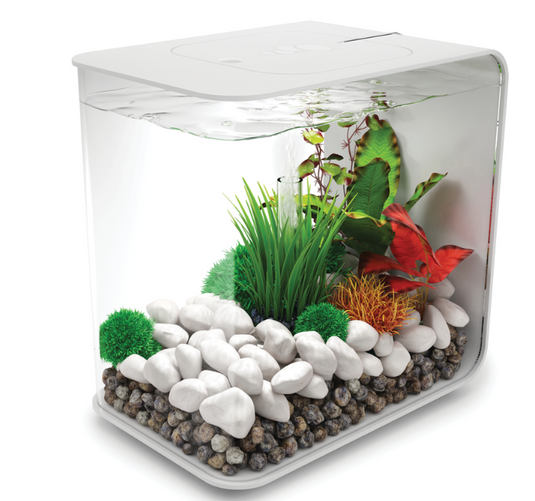 biOrb FLOW 15 MCR blanc