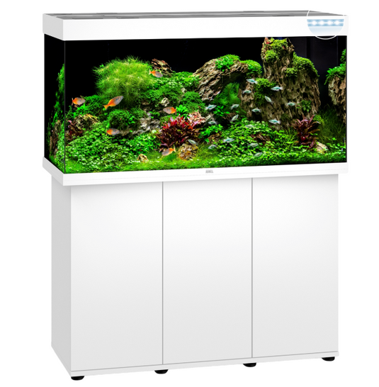 Juwel Rio 350 LED Bianco - Acquario