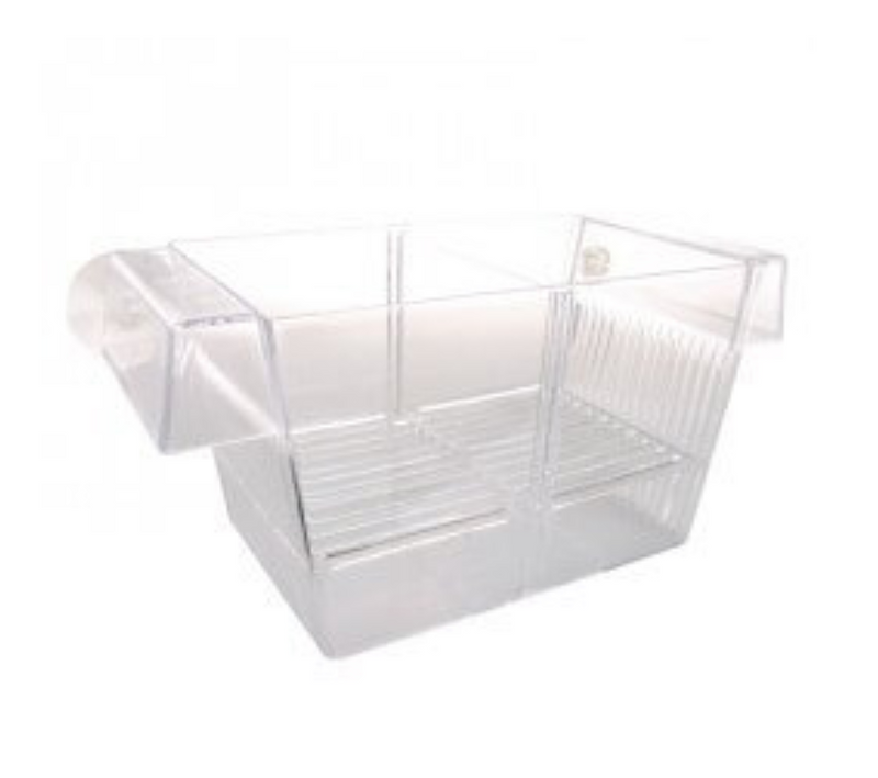 Load image into Gallery viewer, Zolux Plastic Breeding Trap - Floating with Dividers

