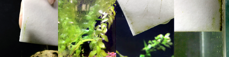 Chargez l'image dans la visionneuse de la galerie, Aquavitro Pad - Éponge abrasive pour aquarium
