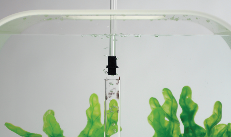 Chargez l'image dans la visionneuse de la galerie, Nettoyant pour tube à bulles BiOrb
