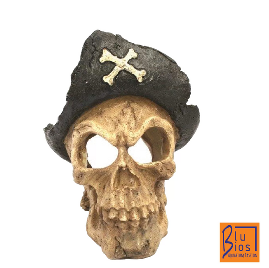 Teschio Pirata con cappello BluBios