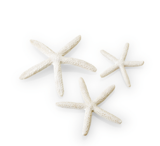 Décoration biOrb Étoile de Mer Blanche
