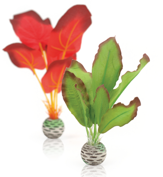 biOrb Kit Plantes de Soie S Vert et Rouge
