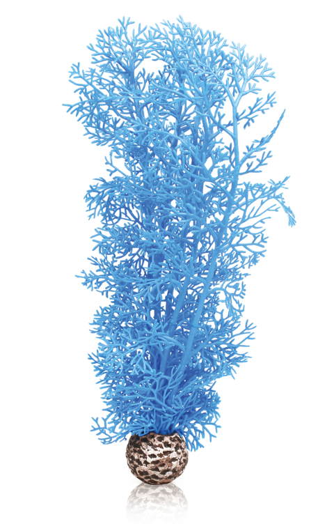 biOrb Corallo M Blu