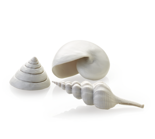 biOrb Kit 3 Conchiglie Bianco