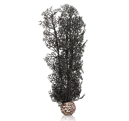 biOrb Corallo M Nero