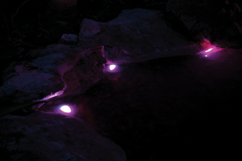 Load image into Gallery viewer, Pontec PondoStar LED RGBW Set 3 - Pond and Garden Spotlights
