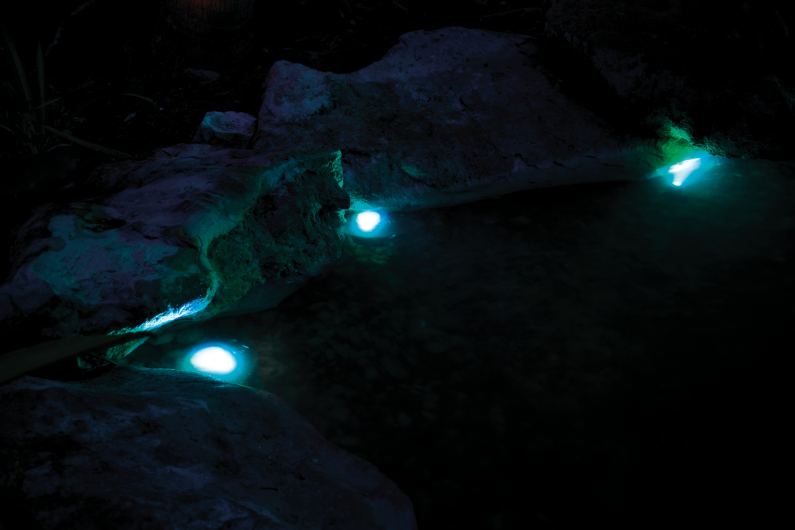 Load image into Gallery viewer, Pontec PondoStar LED RGBW Set 3 - Pond and Garden Spotlights
