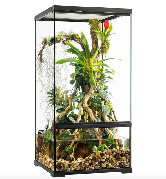 Exo Terra Pro Paludarium X-Tall Small - Terrario Avanzato 45x45x90 cm