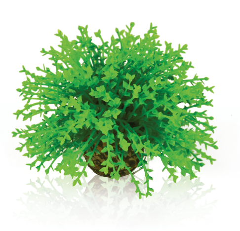 biOrb Pianta Sferica Verde - Decorazione per Acquari