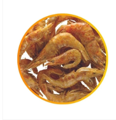 Carica immagine in Galleria Viewer, NUTRINOVEL - Exotic Sustain Gamberetti XL Essiccati - Alimento per Tartarughe d'Acqua 130g

