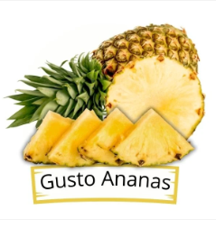Chargez l'image dans la visionneuse de la galerie, NUTRINOVEL - Exotic Sustain FruitMeal Base Ananas per Rettili 50g
