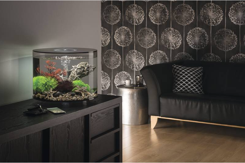 Carica immagine in Galleria Viewer, biOrb TUBE 35 MCR nero
