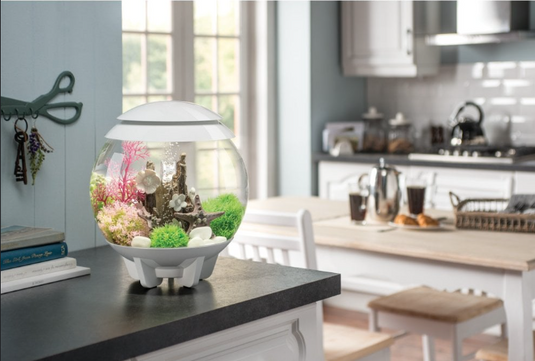 biOrb HALO 15 MCR Blanc