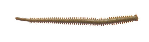 Berkley Gulp! Saltwater Isome Futomi 10 cm