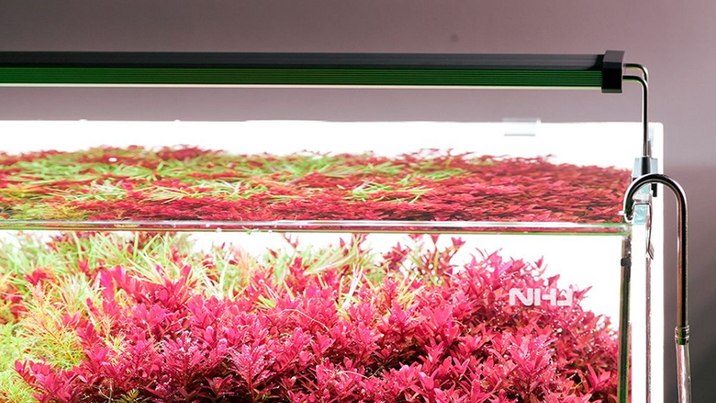 Load image into Gallery viewer, Chihiros - B30 LED / Plafoniera LED Bluetooth per Acquario
