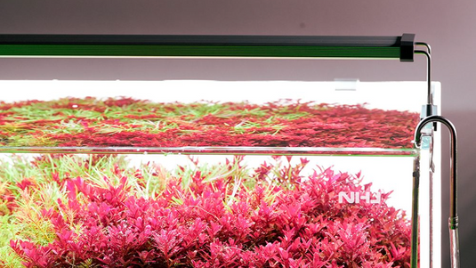 Chihiros - B30 LED / Plafoniera LED Bluetooth per Acquario