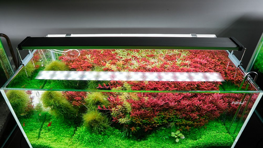 Chihiros - B30 LED / Plafoniera LED Bluetooth per Acquario