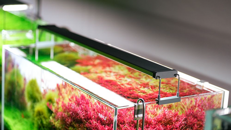 Load image into Gallery viewer, Chihiros - B30 LED / Plafoniera LED Bluetooth per Acquario
