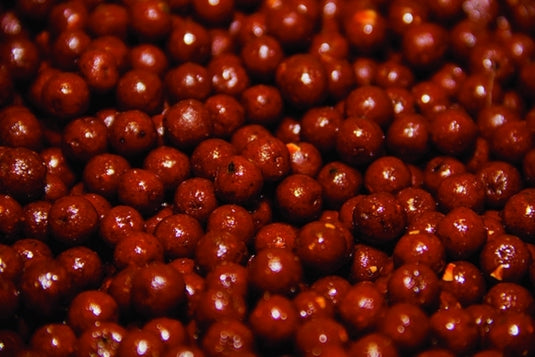 Dynamite Baits The Source Bouillettes