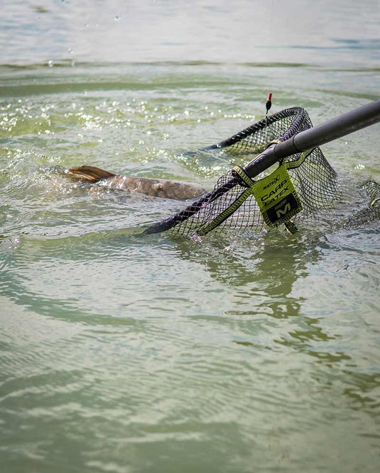 Matrix Carp Latex Landing Net - Teste di Guadino in Lattice