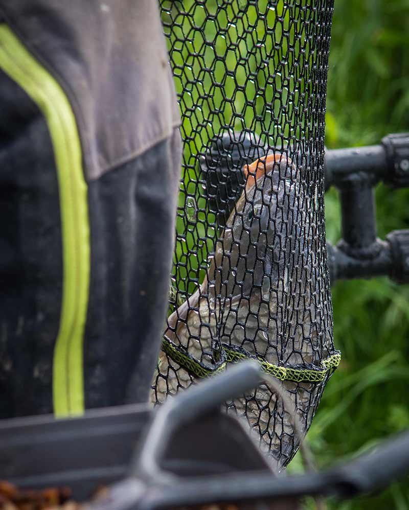 Carica immagine in Galleria Viewer, Matrix Carp Scoop Landing Net - Testa per Guadino Carpfishing
