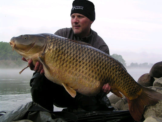 Ib Carptrack Elite Boilie