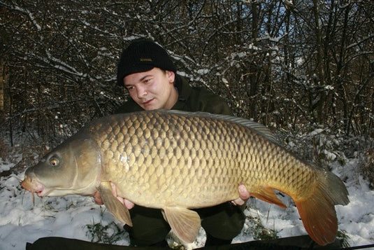 Ib Carptrack Monster-Liver Boilie Acque Fredde (Cold Water)