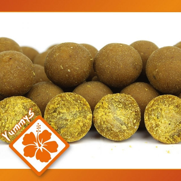 Chargez l'image dans la visionneuse de la galerie, Ib Carptrack Osmotic Oriental Spice Boilie
