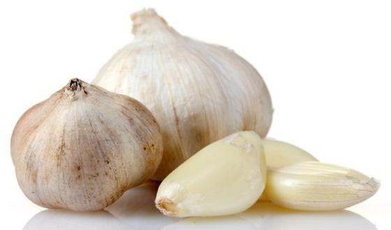 Carica immagine in Galleria Viewer, Aquarium Munster BioFish Food Dr Bassleer GARLIC
