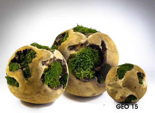 Terra Viva Design Teak ball with stabilized moss Ø15 cm