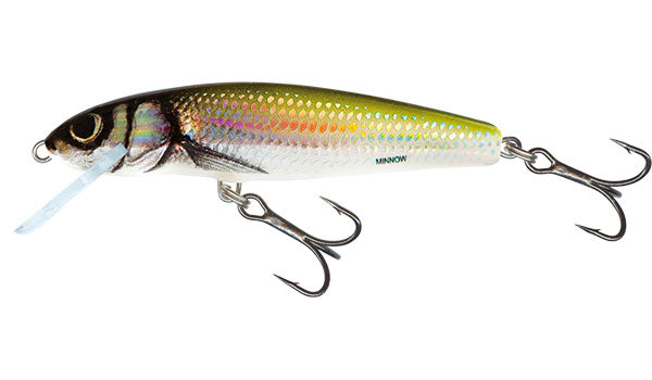 Chargez l'image dans la visionneuse de la galerie, Salmo Minnow Flottant - 5cm
