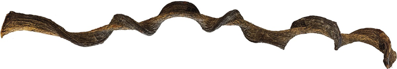 Load image into Gallery viewer, REPTO Jungle Wood 95 cm, ramo contorto per terrario
