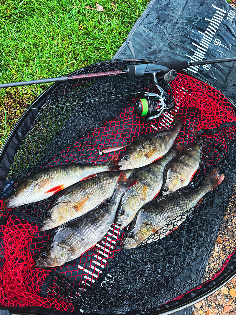 Laden Sie das Bild in Galerie -Viewer, Fox Rage Mini Tiddler Mixed Colour Packs
