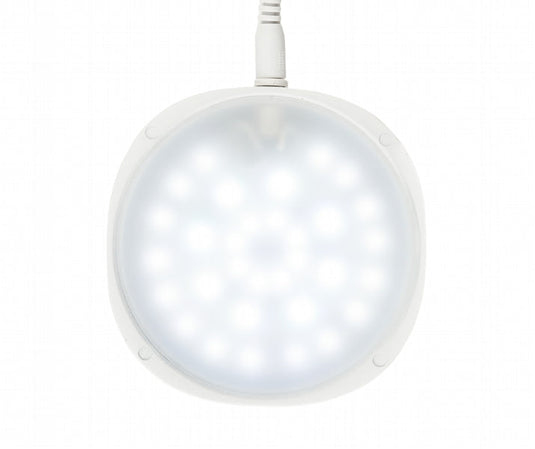 Chihiros Magnetic light