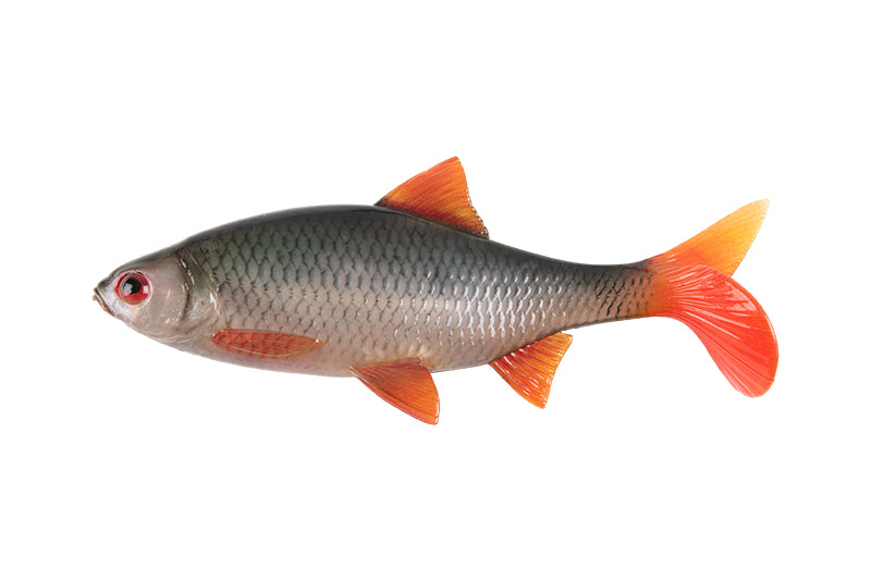 Carica immagine in Galleria Viewer, Fox Rage Ultra Realistic Replicant Roach 14cm
